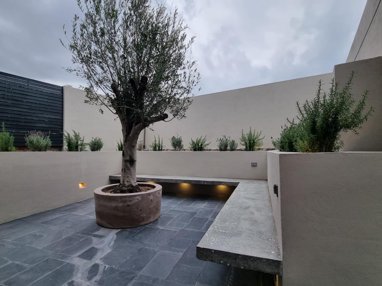 Casa Origenes Hotell San Miguel de Allende Eksteriør bilde